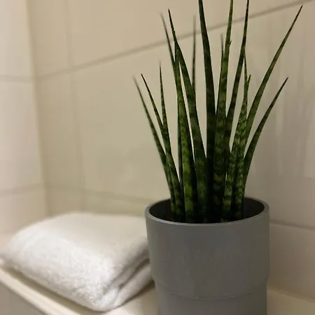 Apartamento Keller I 106 Kniebis