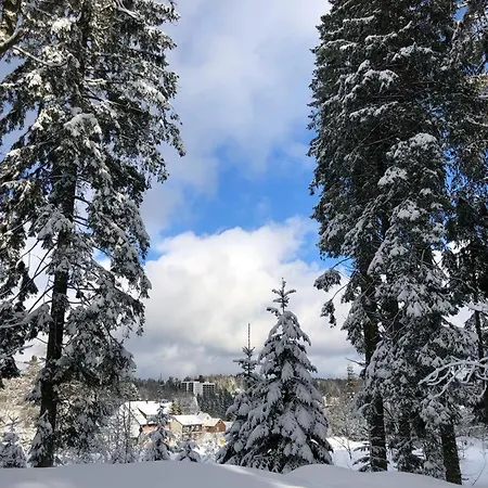 Keller I 106 Kniebis Freudenstadt